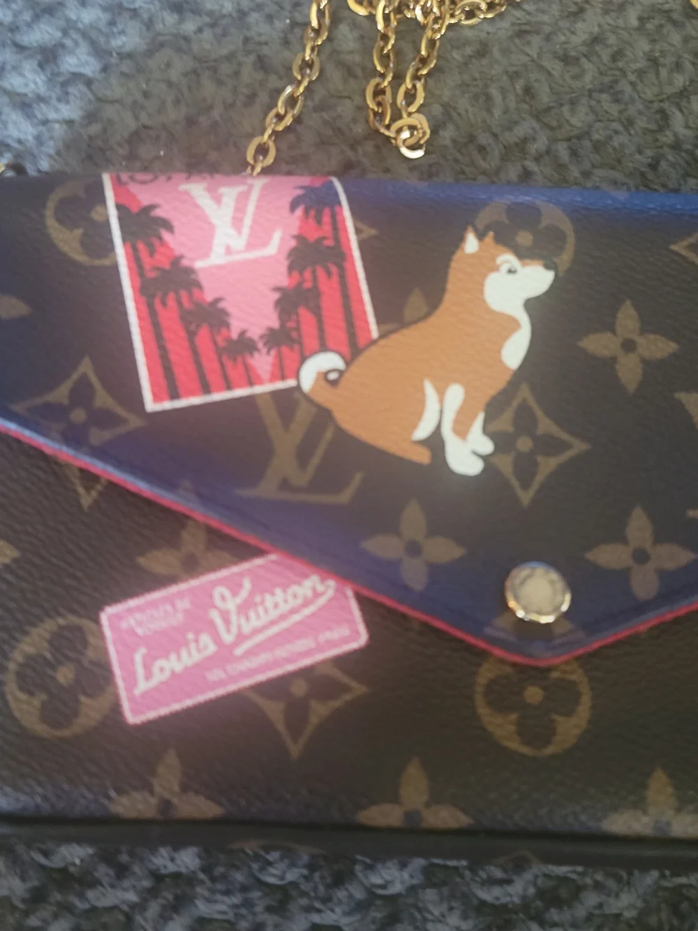 My LV World Tour Felicie Crossbody